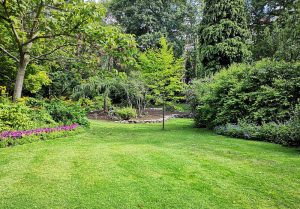 Optimiser l'expérience du jardin à Appilly